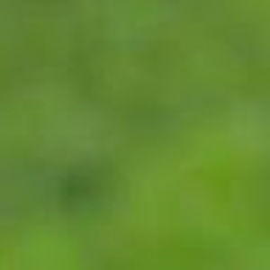 Meet your Posher, Bethanie